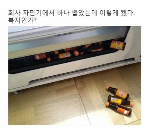 뜬금포 회사 복지.jpg