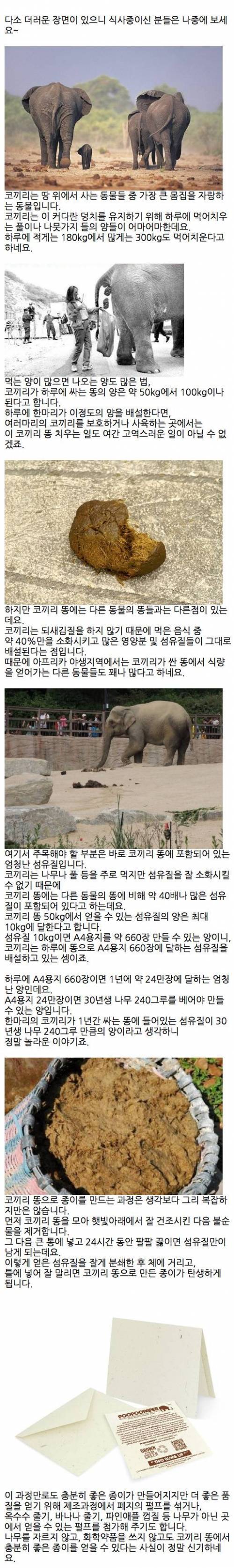 아낌없이 주는 코끼리 똥.jpg