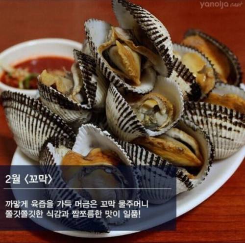 제철 해산물.jpg