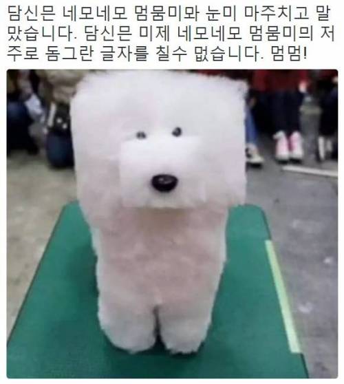 멈무미 엉엉이.....