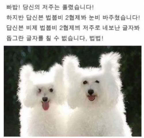 멈무미 엉엉이.....