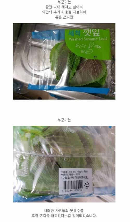 세척 깻잎 이야기.jpg