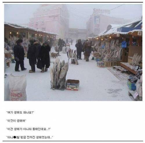 노량진 수산시장 근황.jpg