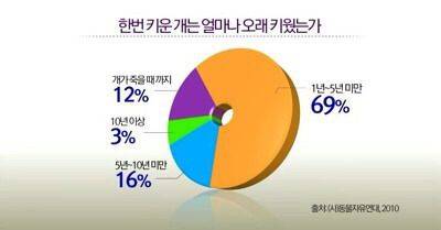 한번 키운 개는 얼마나 오래 키웠는가?