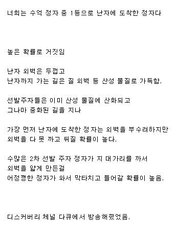 자존감 높이려 하는 거짓말.jpg