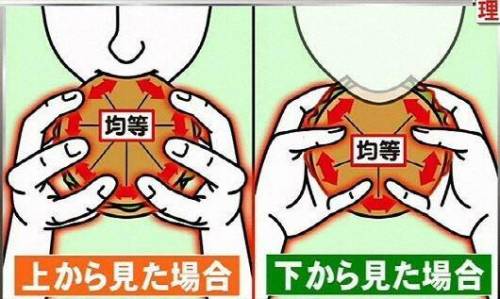 햄버거를 먹는 가장 과학적인 방법.jpg