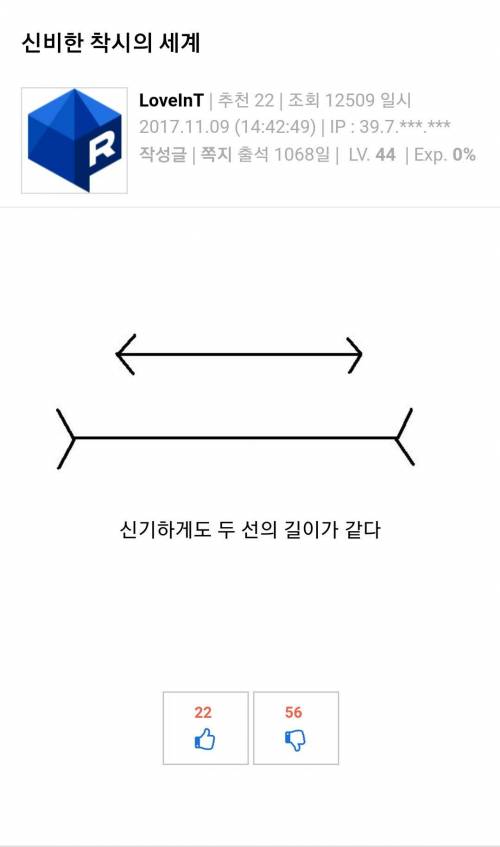 신비한 착시의 세계.jpg