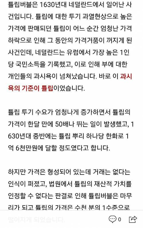 현재 가상화폐와 비슷하다고 말하는 튤립 버블