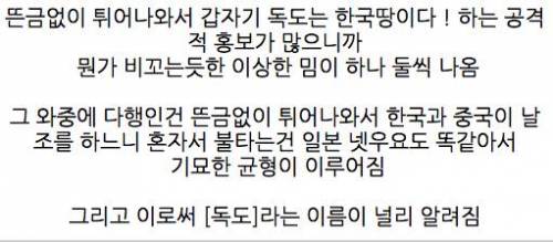 갑자기 등장한 외국의 독도 밈.jpg