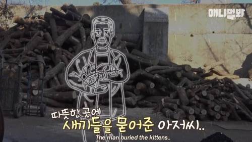 불가마에서 찜질하는 고양이.gif