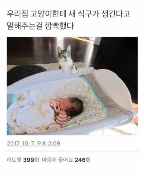 새식구가 생긴다고 말해주는걸 깜박함.jpg