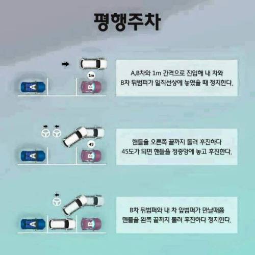 주차공식.jpg