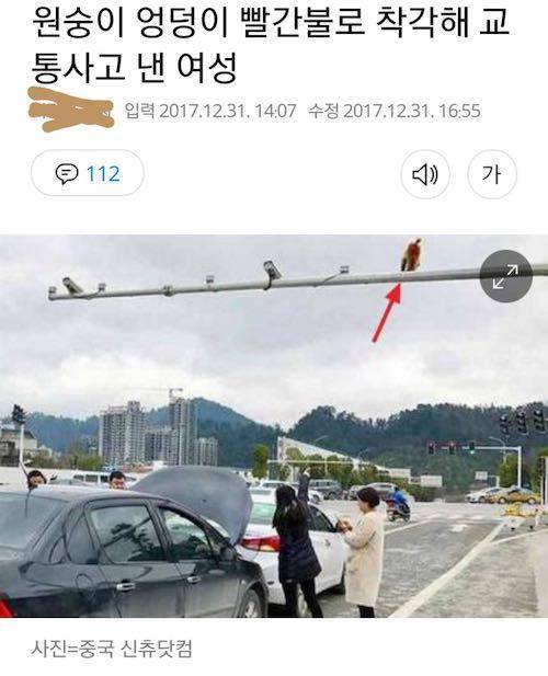 대륙의 교통사고.jpg