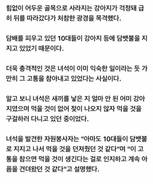 새끼들을 위해 참아온 고통.jpg