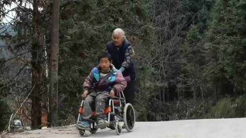 뇌성마비 손자의 통학을 위해 하루 24km 걷는 76세 할머니