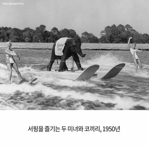 역사적인 순간을 포착한 사진들.jpg