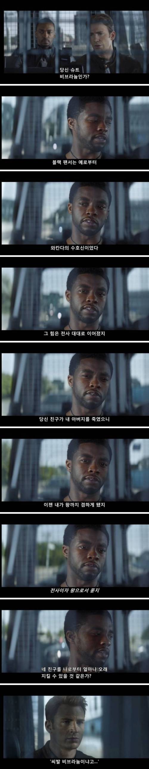 의문의 블랙팬서 관람객.jpg