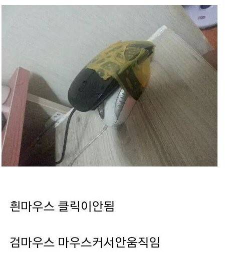 현대판 수난이대.jpg