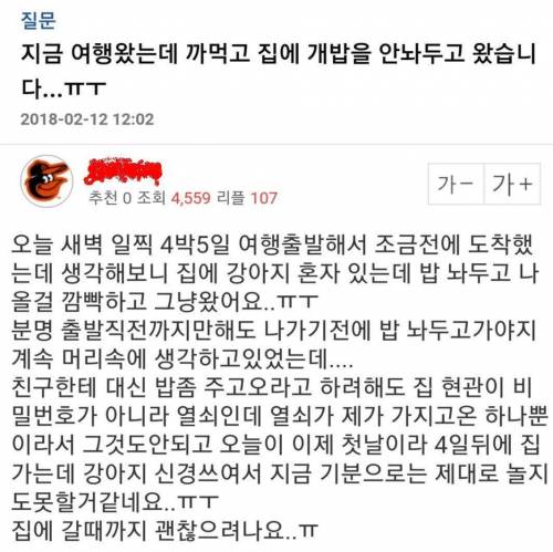 논란이 되고 있는 견주.jpg