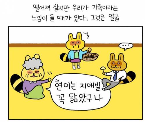 가족끼리 외모 디스하는 만화.jpg