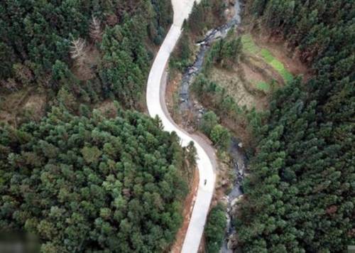 뇌성마비 손자의 통학을 위해 하루 24km 걷는 76세 할머니