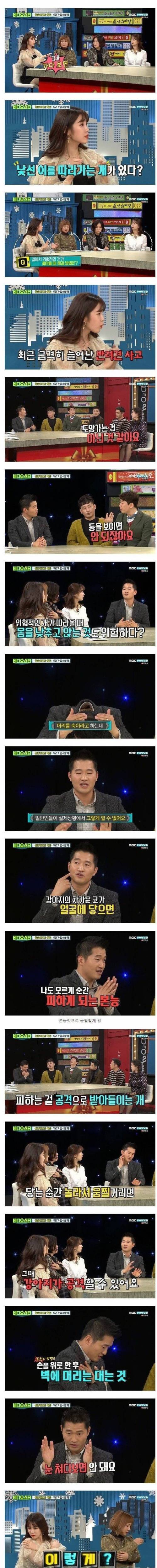 강형욱이 알려주는 맹견 대처법.jpg