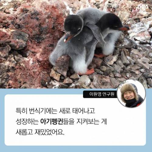 한국에 도착한 남극 세종과학기지 연구원.jpg