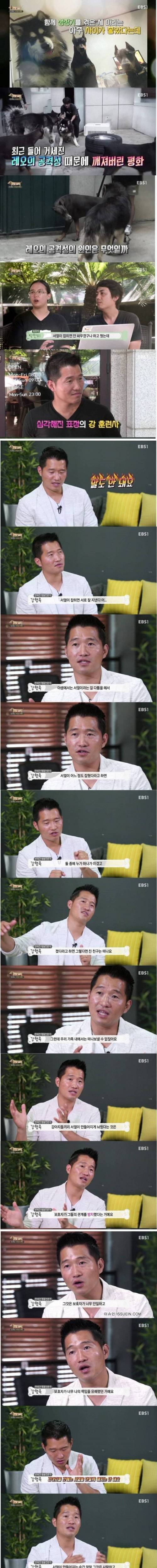 강형욱이 말하는 개의 서열.jpg