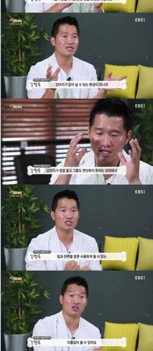 강형욱이 말하는 개의 서열.jpg