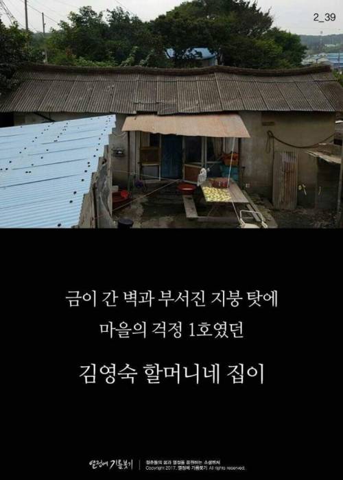 전공을 못살린 사람들이 모이면 벌어지는일