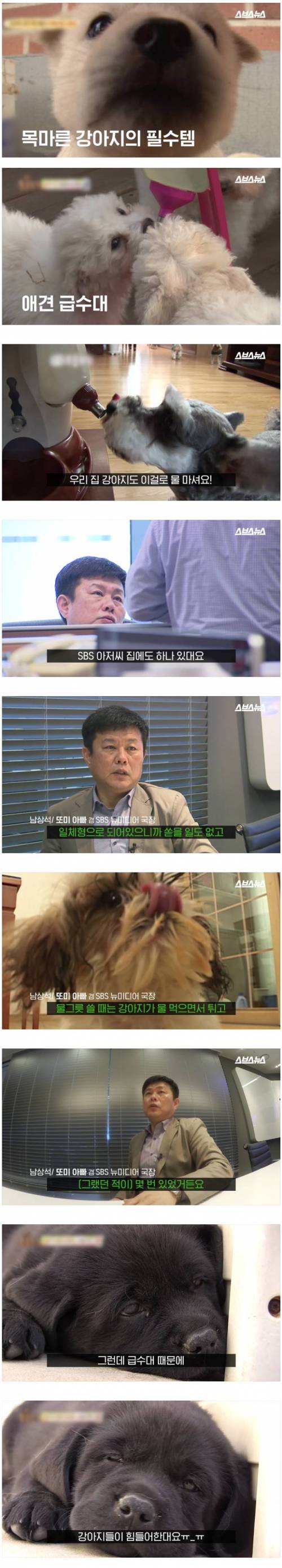 목마른 강아지의 필수템 애견급수대.jpg