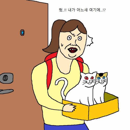 귀신을 부르는 고양이.jpg