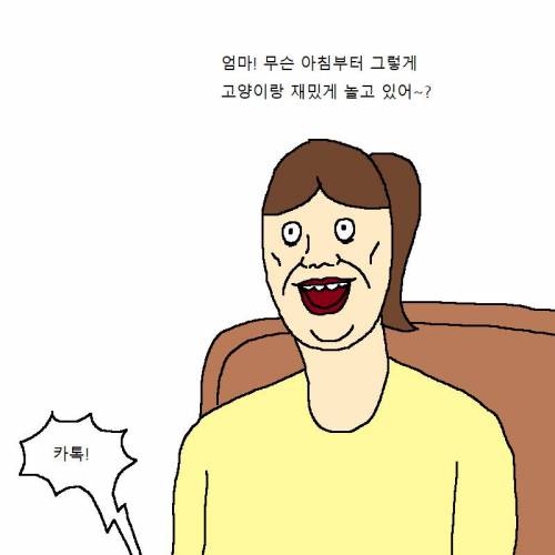 귀신을 부르는 고양이.jpg