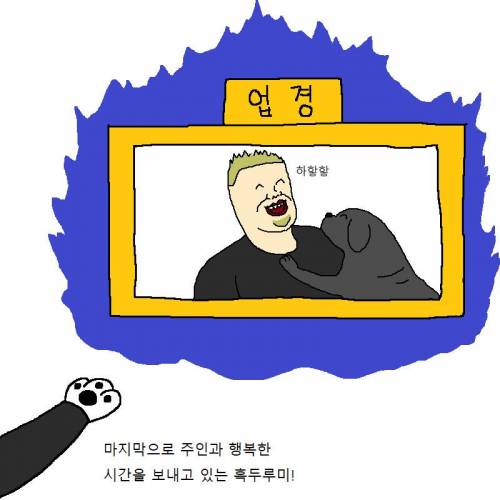 개가 지옥에서 재판받는 만화.jpgif