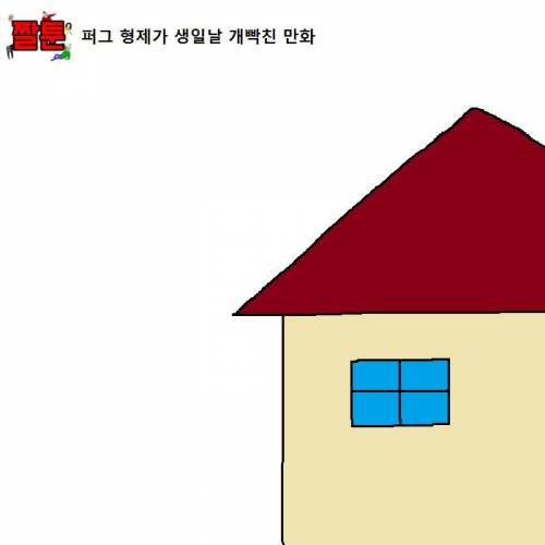 퍼그 형제가 생일날 개빡친 만화.mp4