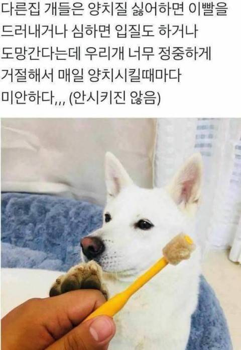 정중한 거절.jpg