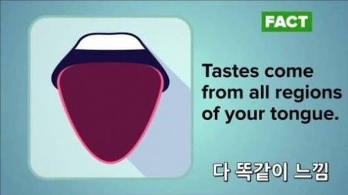 잘못 알려진 상식들.jpg