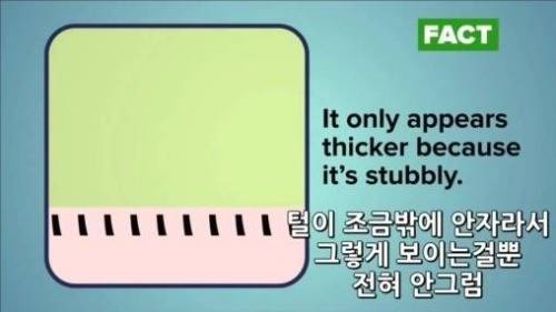 잘못 알려진 상식들.jpg