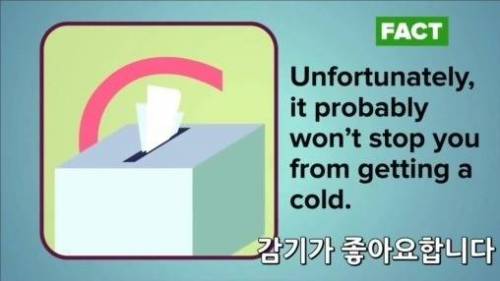 잘못 알려진 상식들.jpg