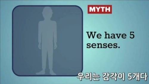 잘못 알려진 상식들.jpg