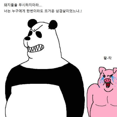 명탐정 팬더가 범인 잡는 만화.jpg