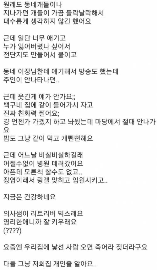 모르는 개가 들어와서 살아요.jpg