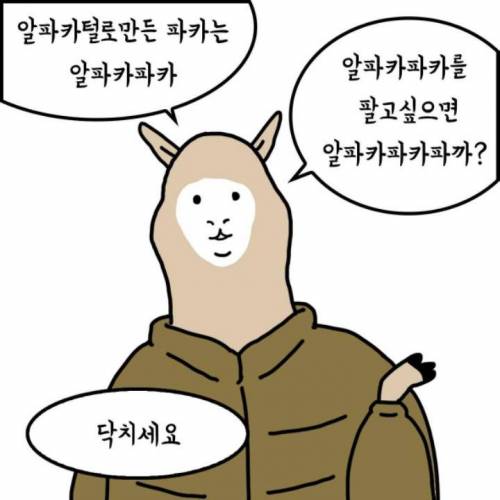 미칠듯한 알파카 만화.jpg