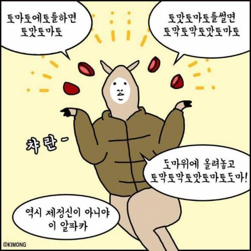 미칠듯한 알파카 만화.jpg