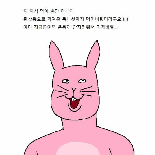 명탐정 팬더가 범인 잡는 만화.jpg