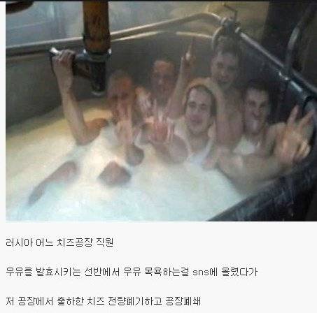 불곰국의 흔한 인증.jpg