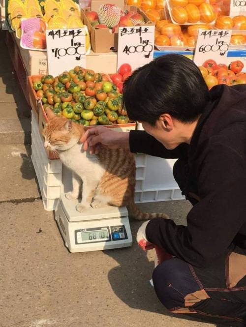 시장 한복판에서 몸무게 공개.jpg