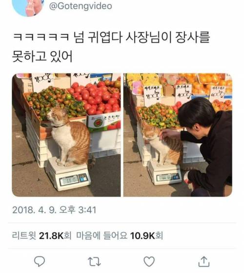 시장 한복판에서 몸무게 공개.jpg