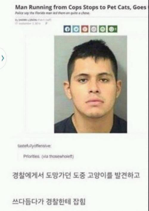 절도범 체포 사유 레전드.jpg