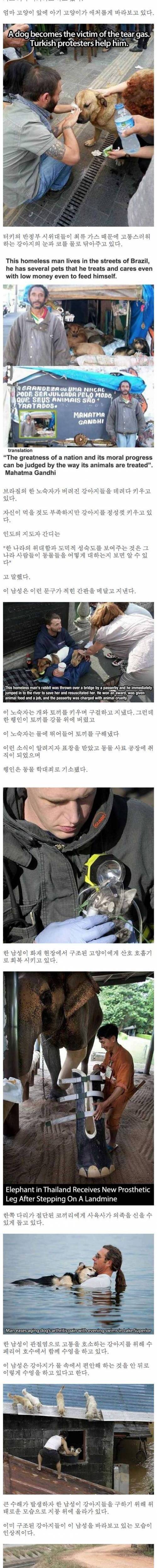 동물을 도와주는 사람들.jpg